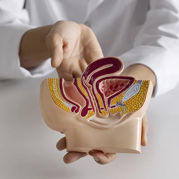 Urología en Consultorios Aldama, Coghlan